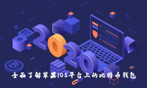 全面了解苹果iOS平台上的比特币钱包