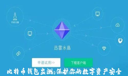 
比特币钱包监测：保护你的数字资产安全