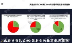 比特币钱包监测：保护你