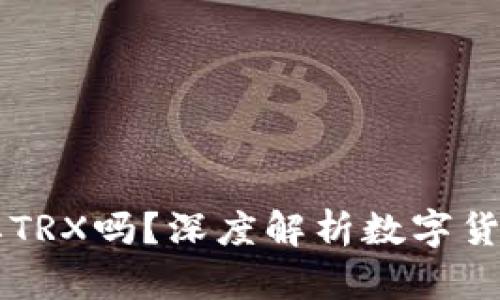 IM冷钱包转账需要TRX吗？深度解析数字货币转账的底层逻辑