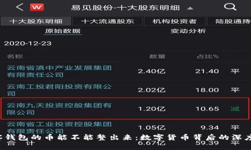  观察钱包的币能不能整出来：数字货币背后的深度解析