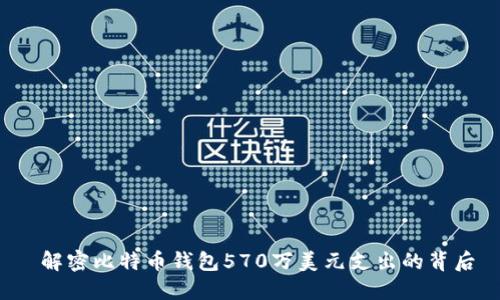  解密比特币钱包570万美元支出的背后