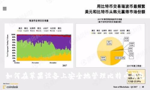 如何在苹果设备上安全地管理比特币钱包