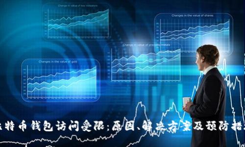 比特币钱包访问受限：原因、解决方案及预防措施