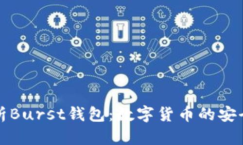 全面解析Burst钱包：数字货币的安全与未来