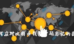 如何应对比特币钱包密码