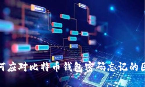 如何应对比特币钱包密码忘记的困境