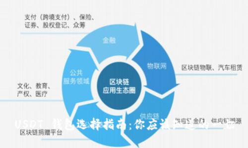 USDT 钱包选择指南：你应该知道的一切
