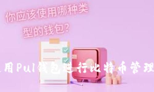 如何使用Pul钱包进行比特币管理和交易