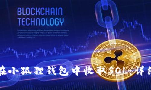 如何在小狐狸钱包中收取SOL：详细指南