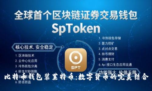 比特币钱包装莱特币：数字货币的完美结合