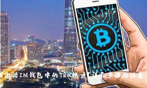 如何激活IM钱包中的TRX账户？详尽步骤与注意事项