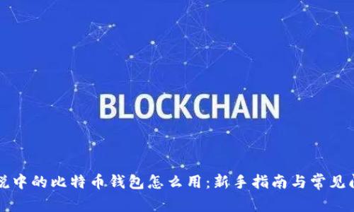 传说中的比特币钱包怎么用：新手指南与常见问题