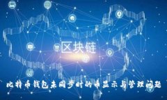 比特币钱包未同步时的币