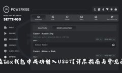 : 如何在Tex钱包中成功转入
