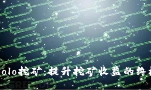 高效Solo挖矿：提升挖矿收益的终极指南