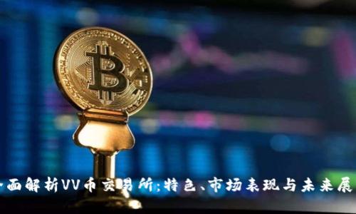 全面解析VV币交易所：特色、市场表现与未来展望