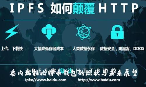委内瑞拉比特币钱包的现状与未来展望