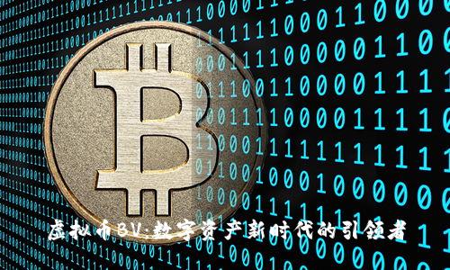 虚拟币BV：数字资产新时代的引领者