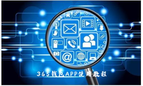 365钱包APP使用教程