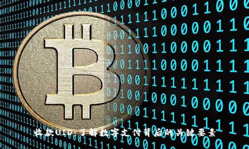 收款UID：了解数字支付背后的关键要素
