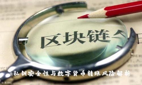 私钥安全性与数字货币转账风险解析