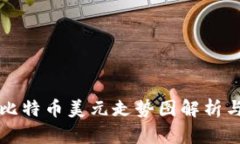 新浪财经比特币美元走势