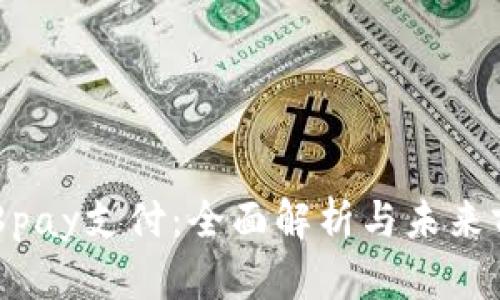 988pay支付：全面解析与未来前景