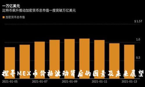 探寻MEX币价格波动背后的因素及未来展望