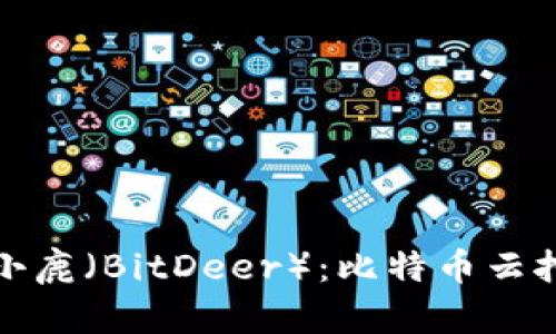 探索比特小鹿（BitDeer）：比特币云挖矿的未来