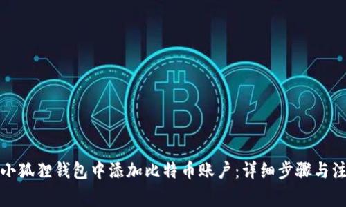 如何在小狐狸钱包中添加比特币账户：详细步骤与注意事项