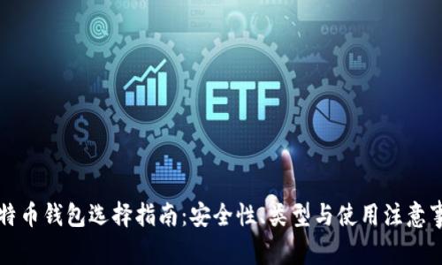 比特币钱包选择指南：安全性、类型与使用注意事项