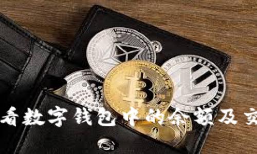 如何查看数字钱包中的余额及交易记录