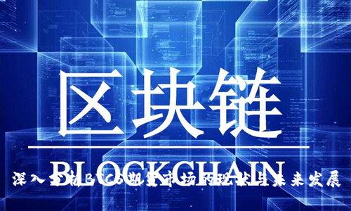 深入分析BTCS期货市场的现状与未来发展