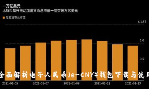 全面解析电子人民币（e-CNY）钱包下载与使用