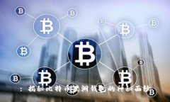 : 揭秘比特币黑洞钱包的神