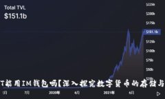 USDT能用IM钱包吗？深入探
