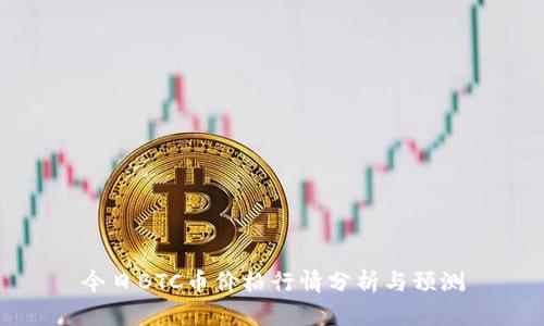今日BTC币价格行情分析与预测