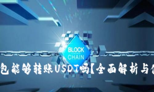 Chivo钱包能够转账USDT吗?全面解析与使用指南