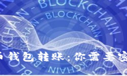 比特币钱包转账:你需要密码吗?