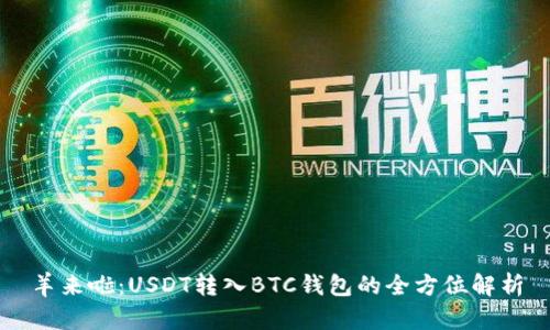 羊来啦:USDT转入BTC钱包的全方位解析