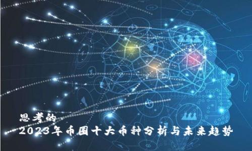 思考的 
2023年币圈十大币种分析与未来趋势