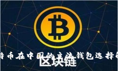 比特币在中国的主流钱包选择解析