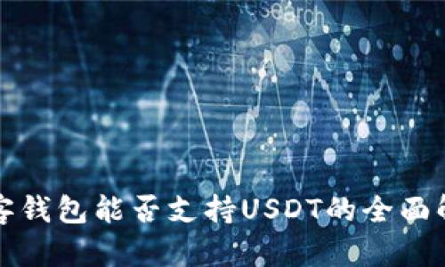极客钱包能否支持USDT的全面解析