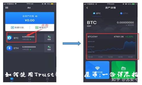 : 如何使用Trust钱包接收屎币：一份详尽指南