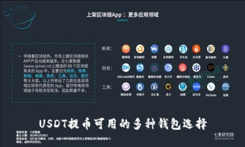 USDT提币可用的多种钱包选择