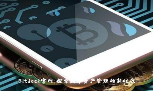 Bitdock官网：探索数字资产管理的新时代
