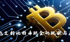 苹果钱包支持比特币现金的现状与未来展望