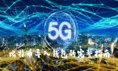 比特币导入钱包的完整指南