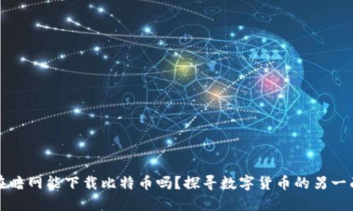 在暗网能下载比特币吗？探寻数字货币的另一面